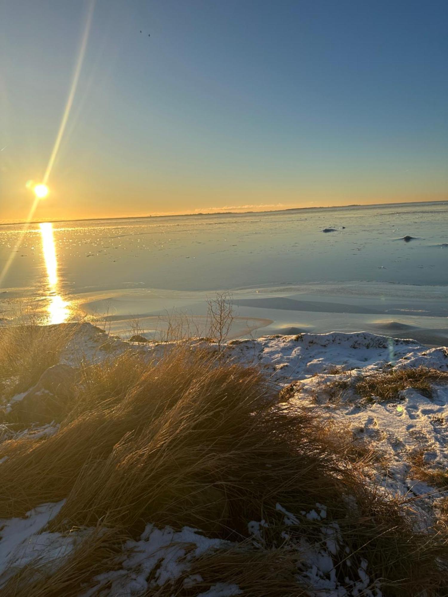 Beach Cabin Höllviken Екстериор снимка